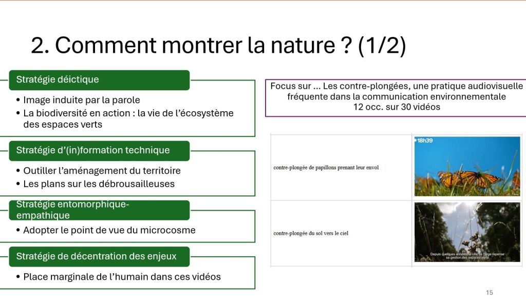 seh jlc illu